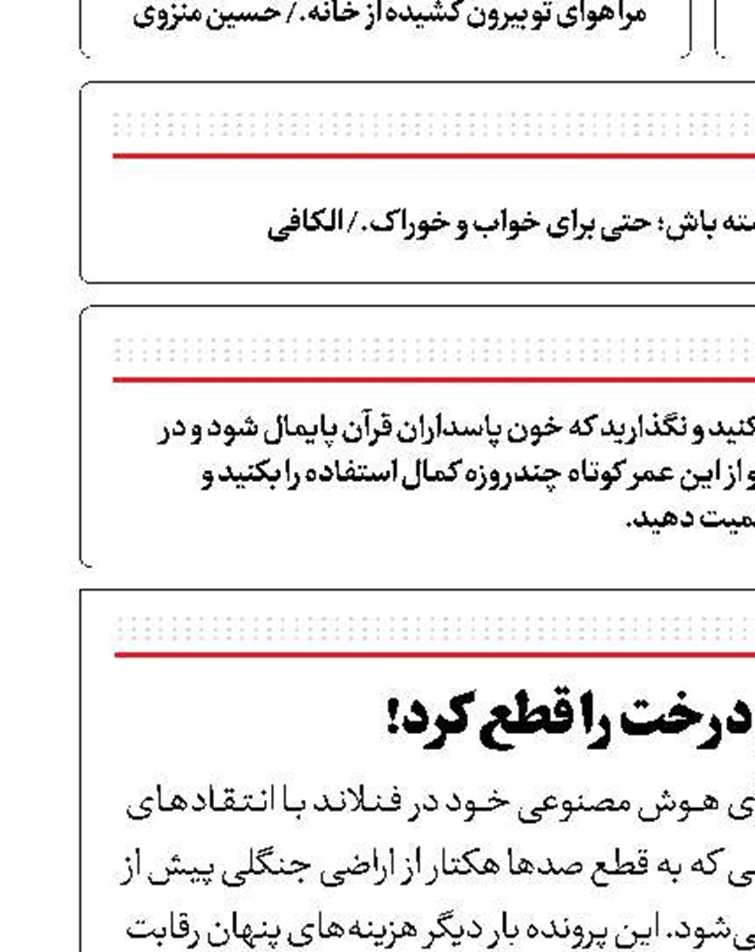 گوگل ۲۵۰ هزار درخت را قطع کرد!