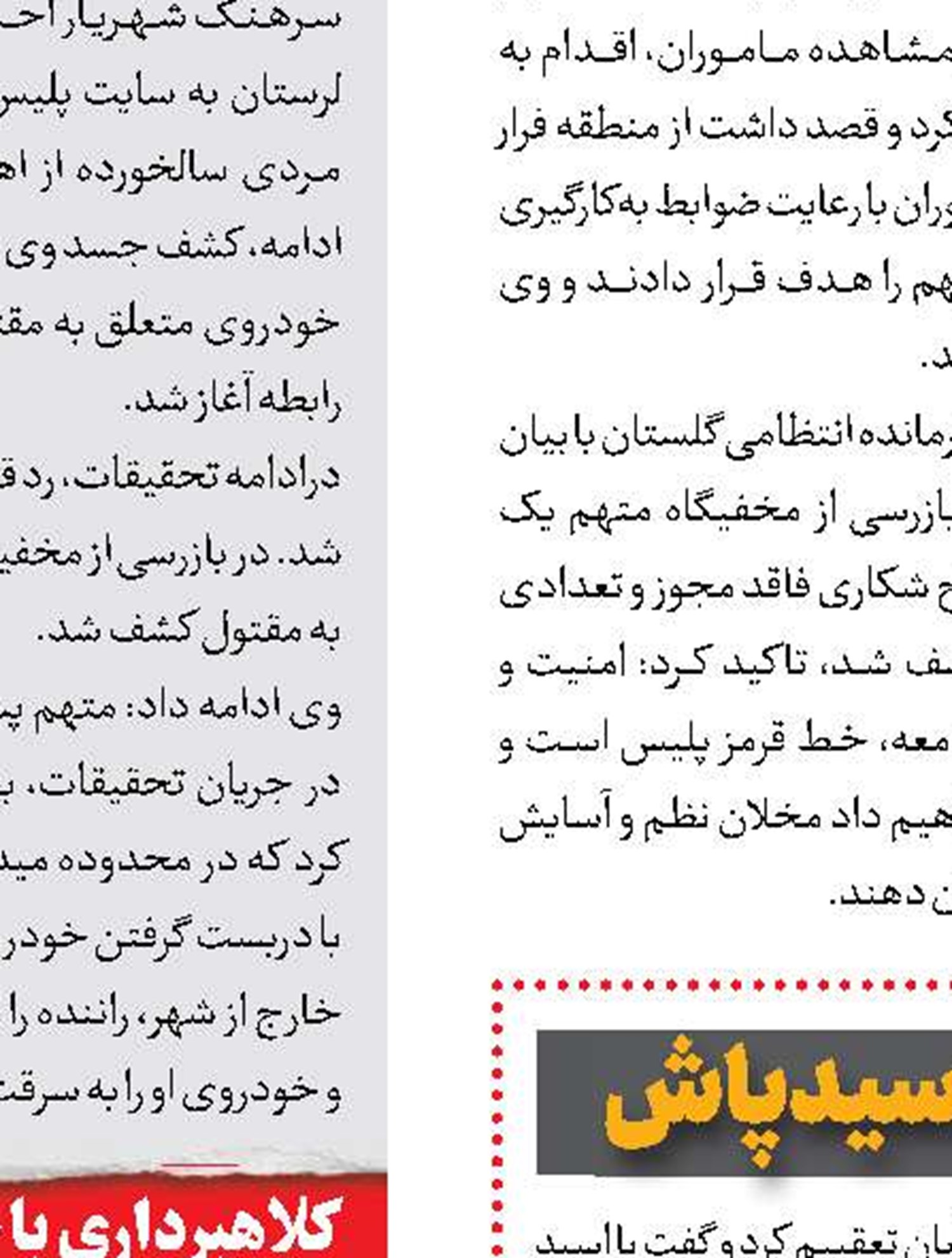 دزد فراموشکار، بادیدن مادرش حافظه اش برگشت