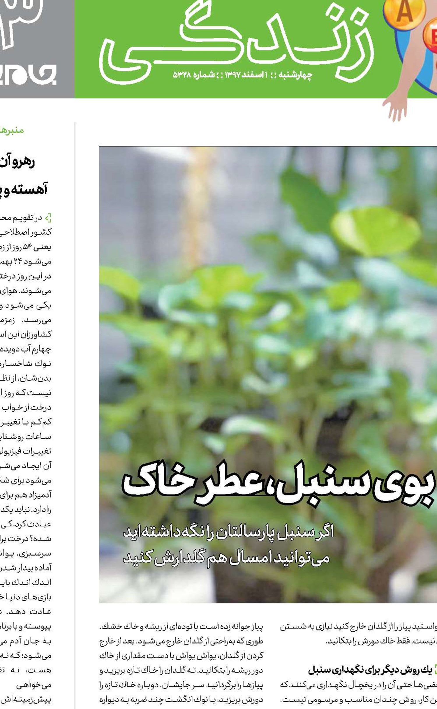 بوی سنبل، عطر خاک