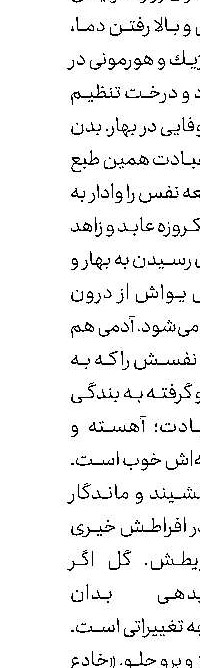 انواع سنبل