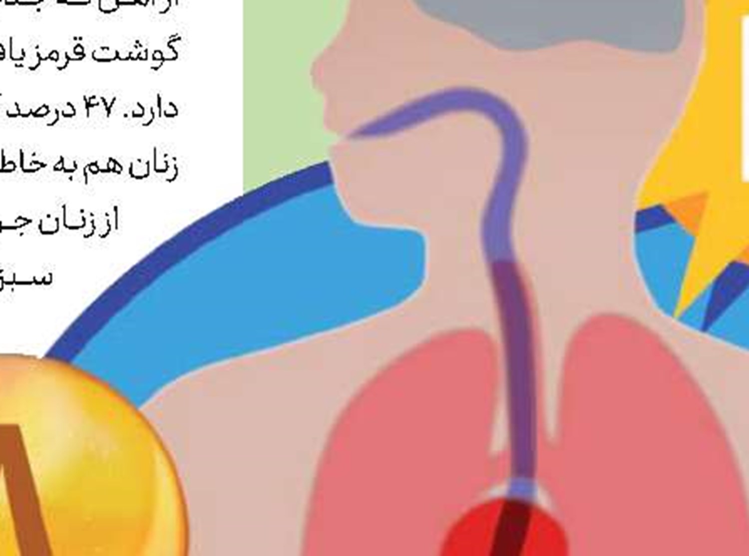 ویتامینD