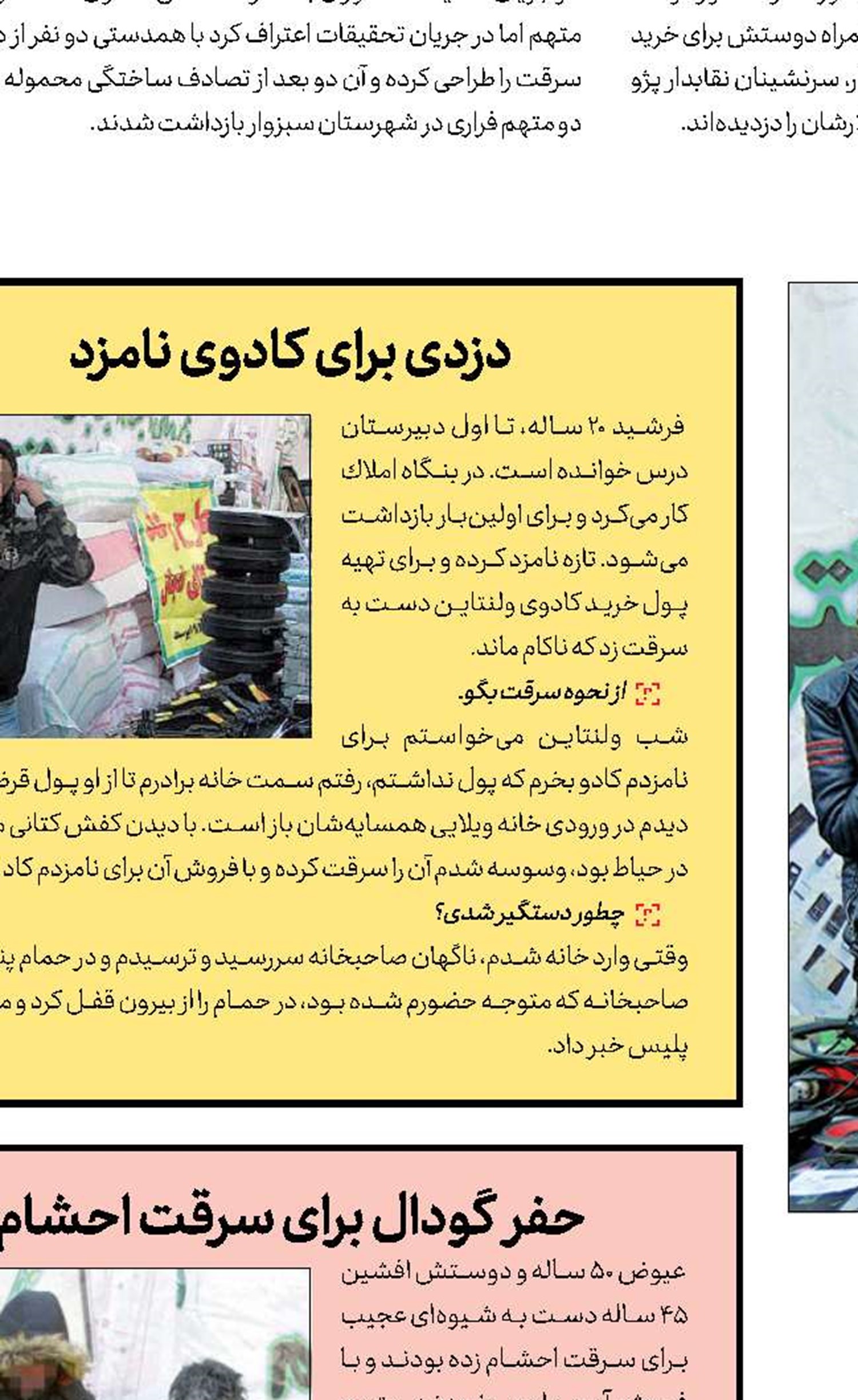 سارقان به دنبال گوسفندها