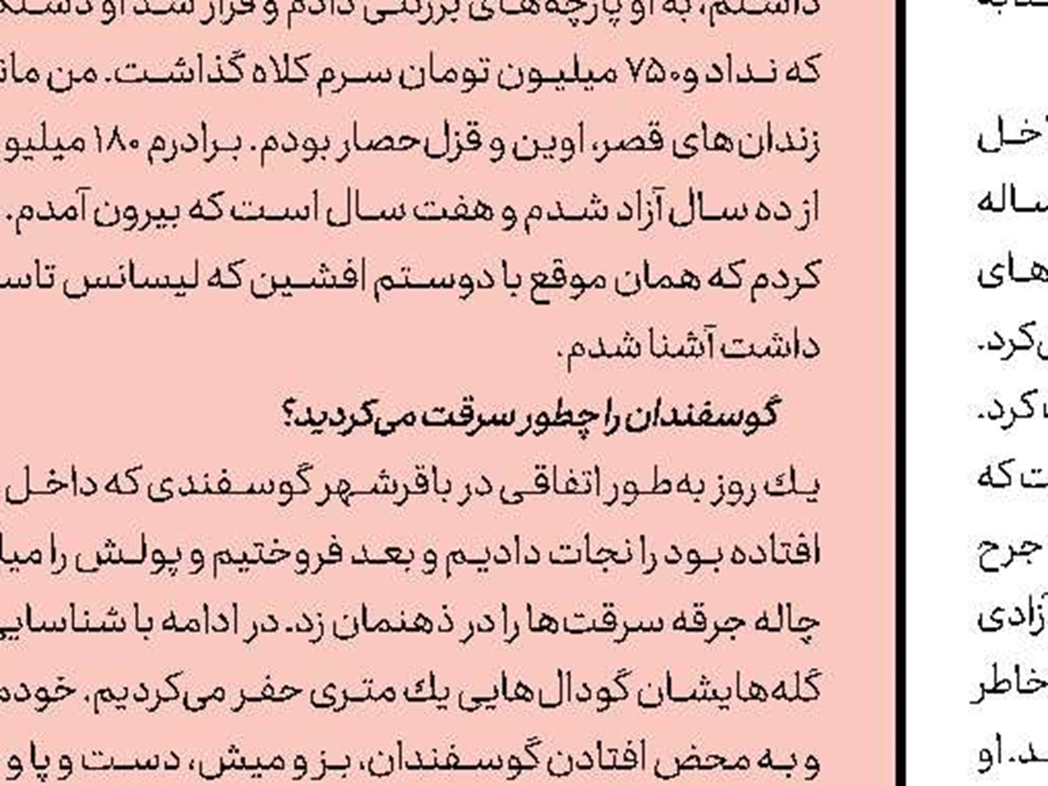هشدار پلیس درباره سوء‌استفاده كلاهبرداران از دیوار و شیپور