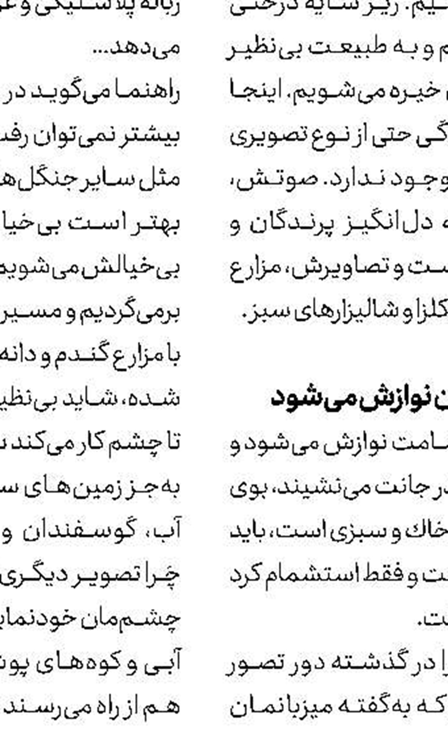 لذت وصف‌ناپذیر یک غذای محلی