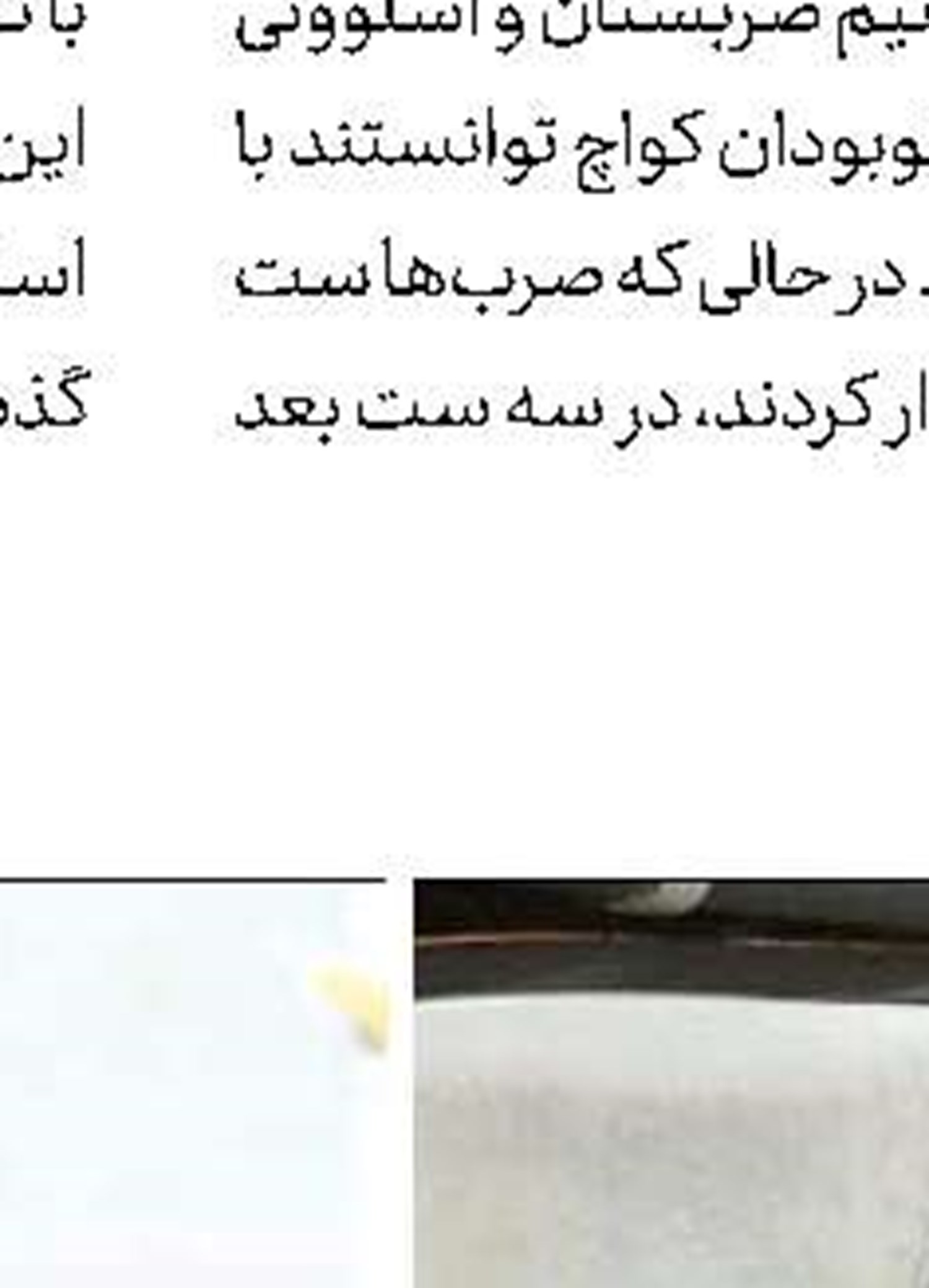  جوکار،مربی تیم ملی کشتی آزاد بزرگسالان شد