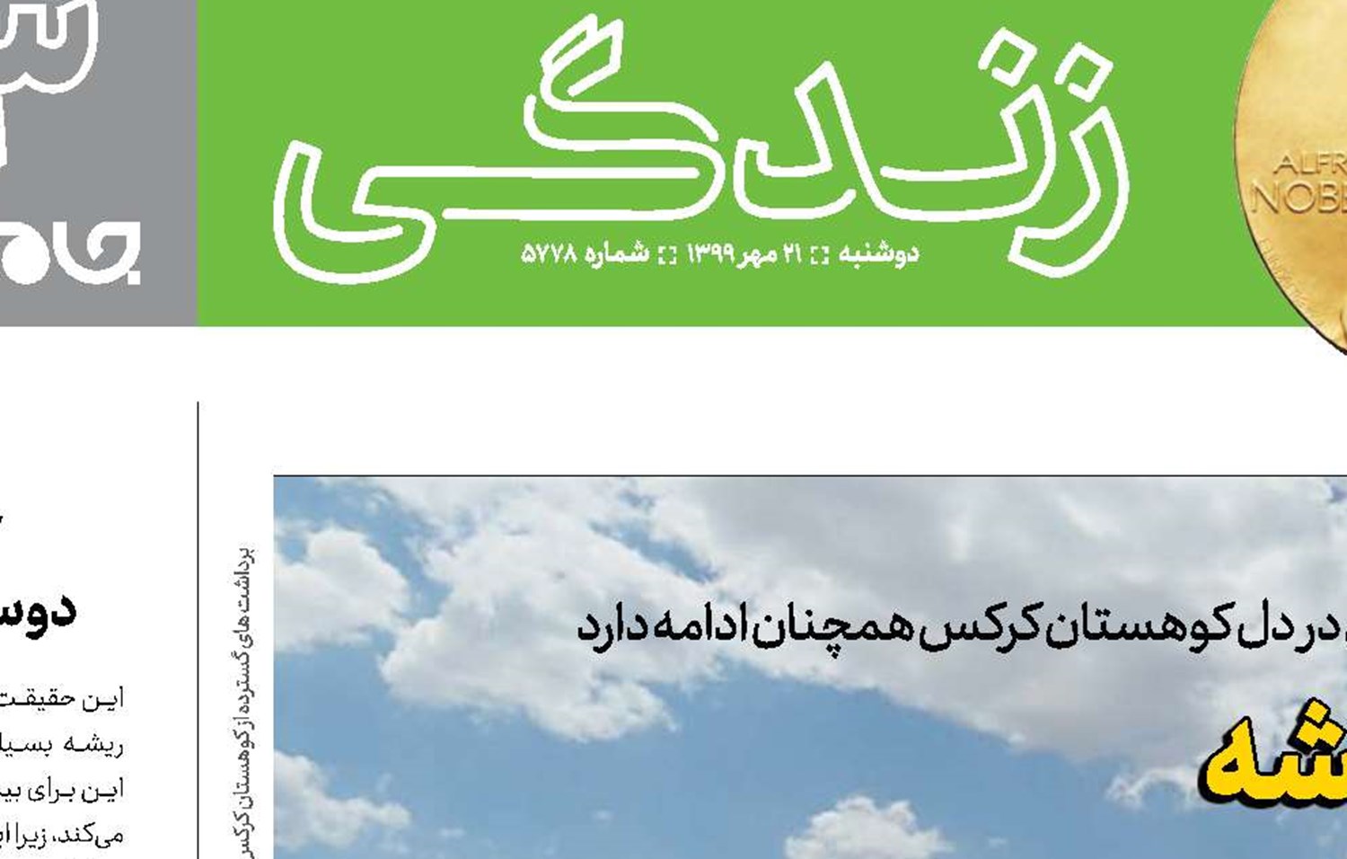 کرکس؛ بی‌پناه‌تر از همیشه