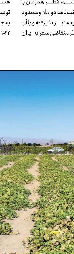 کشاورزی شهری چیست؟