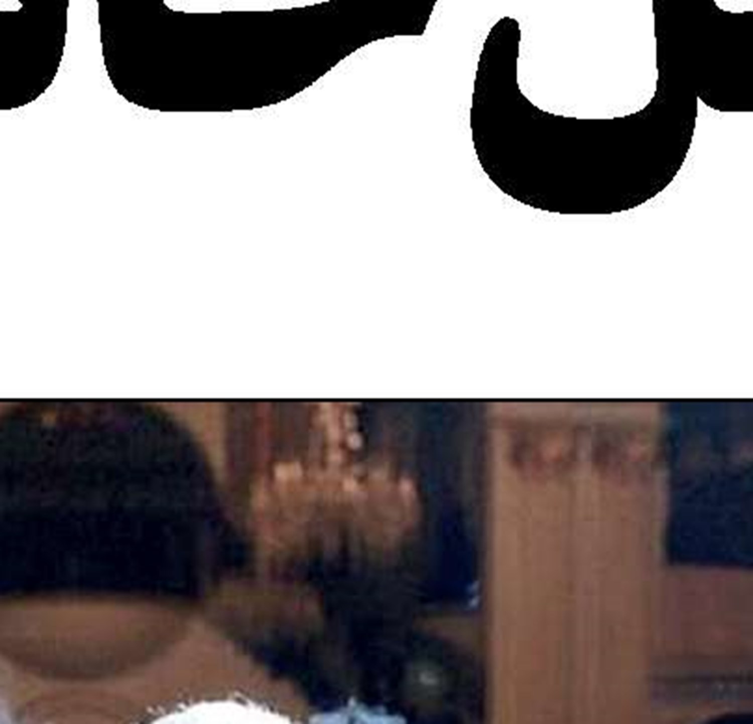  رجب پاشا بر لبه پرتگاه 