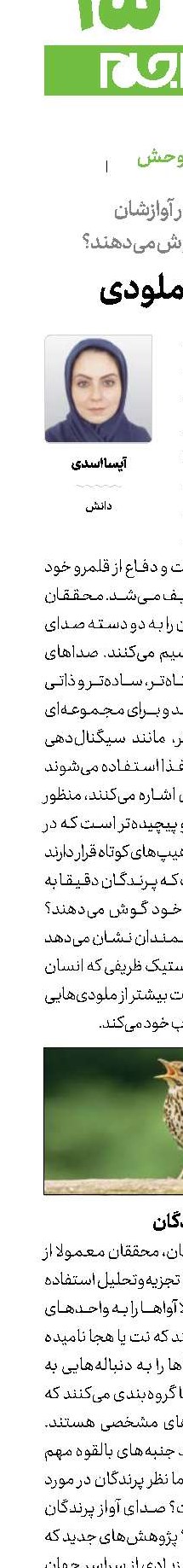 فراتر از ملودی