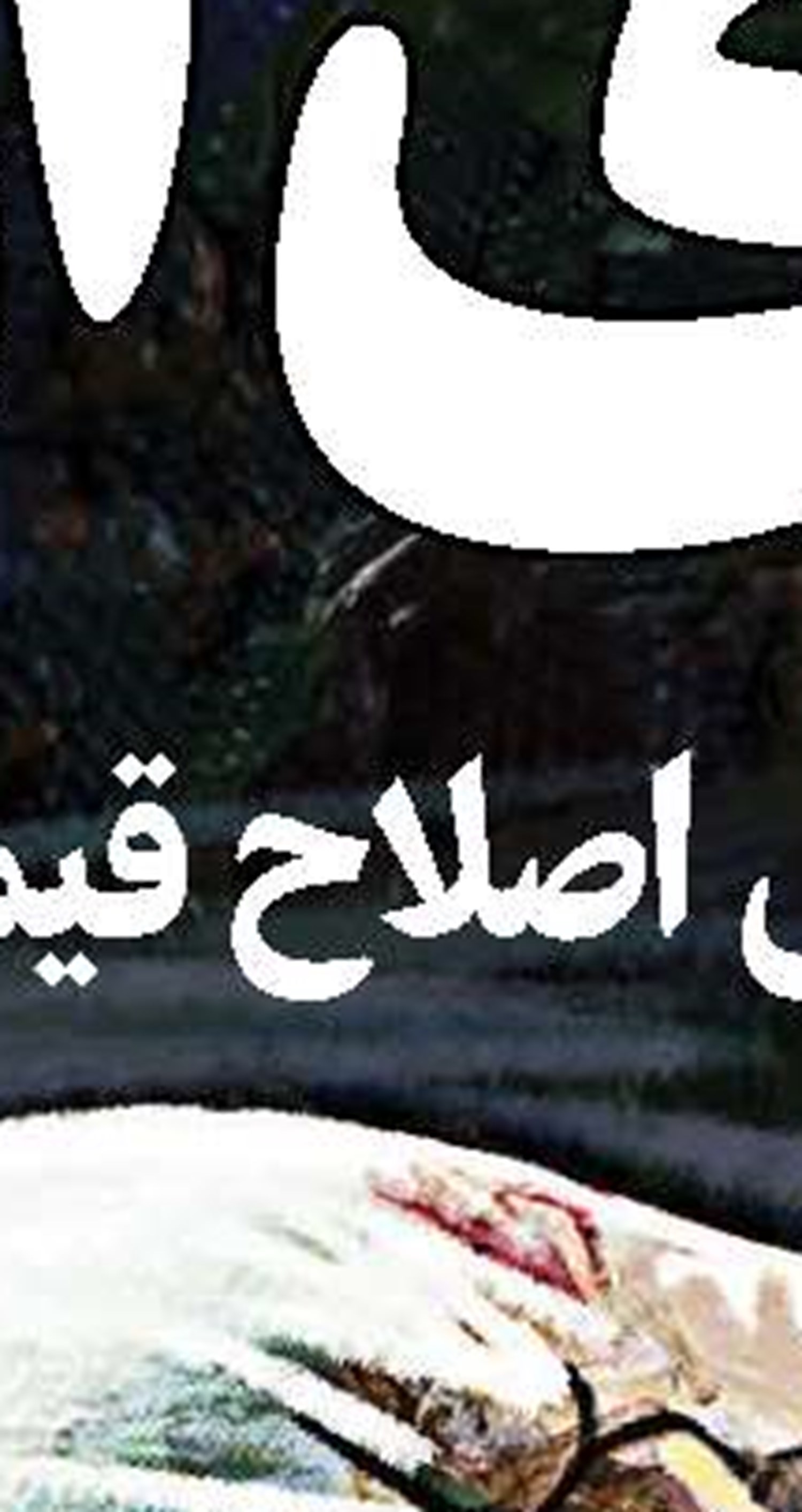 فیلم تین‌ایجری کارگردان فیلسوف