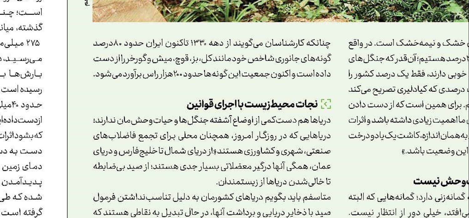  دور دور با کتاب
