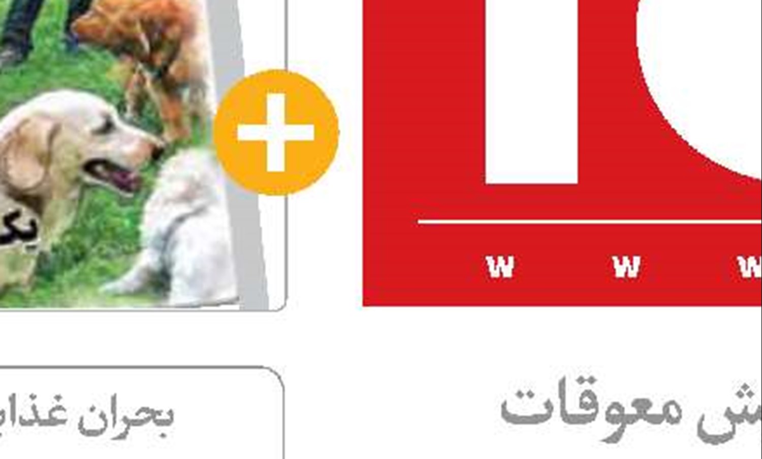 بودجه دوسال  کشور در جیب بدهکاران