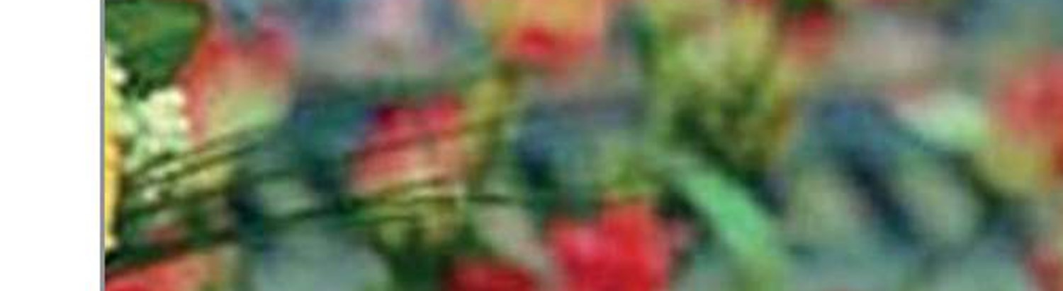 «سلام فرمانده» از نسلی غیور می‌گوید