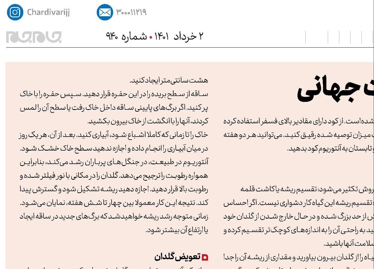 گیاهی با محبوبیت جهانی