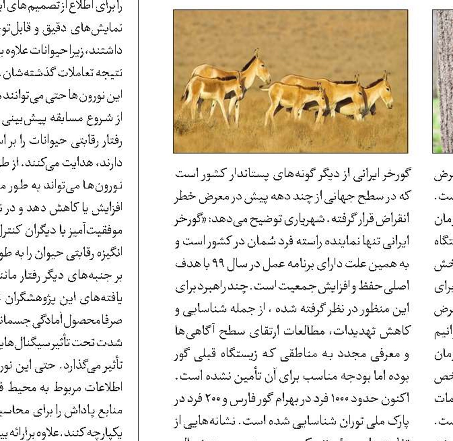 کیوآرکدها چطور کار می‌کنند؟