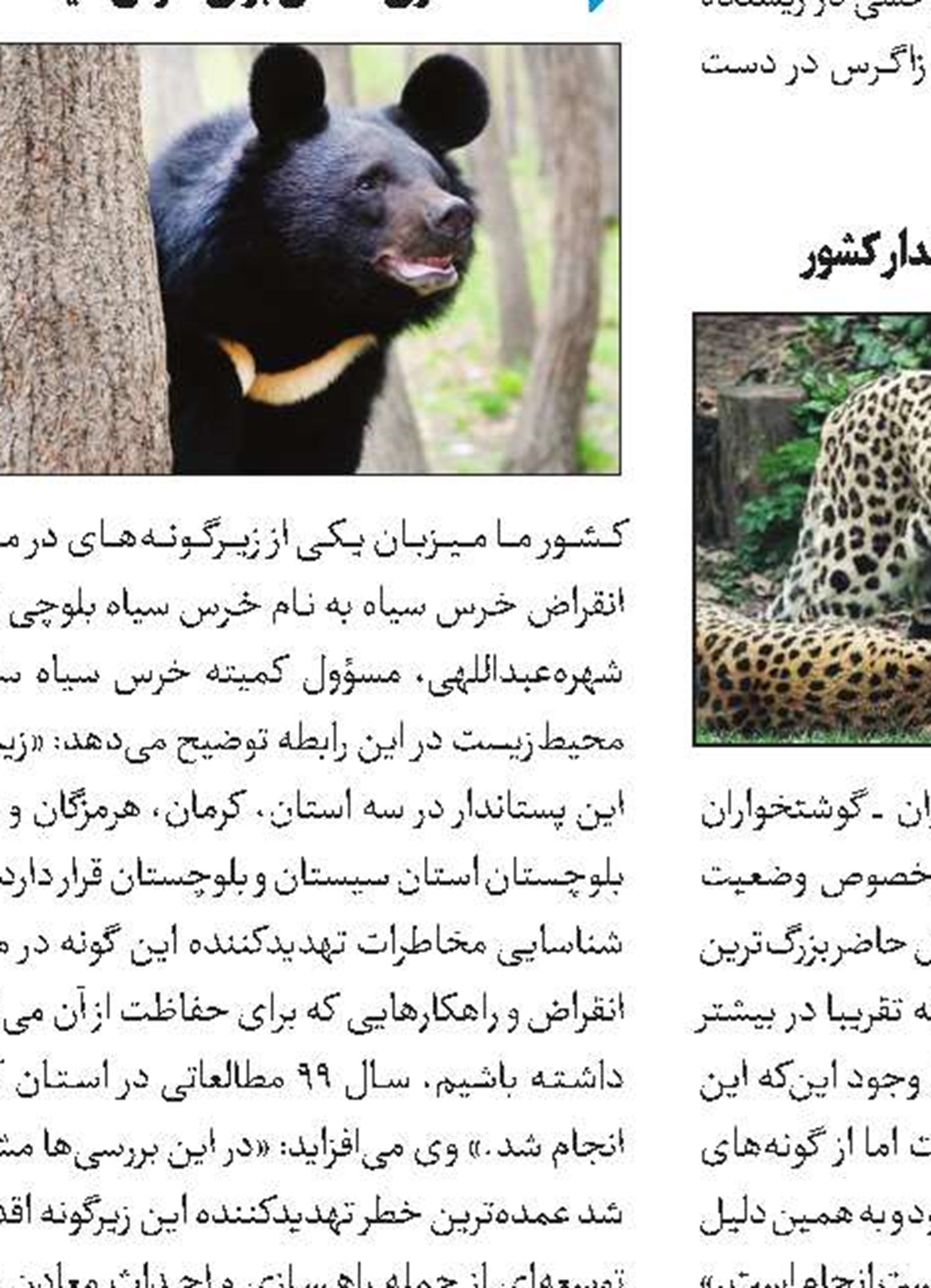 تغییرات توده‌زیستی پستانداران در طول تاریخ