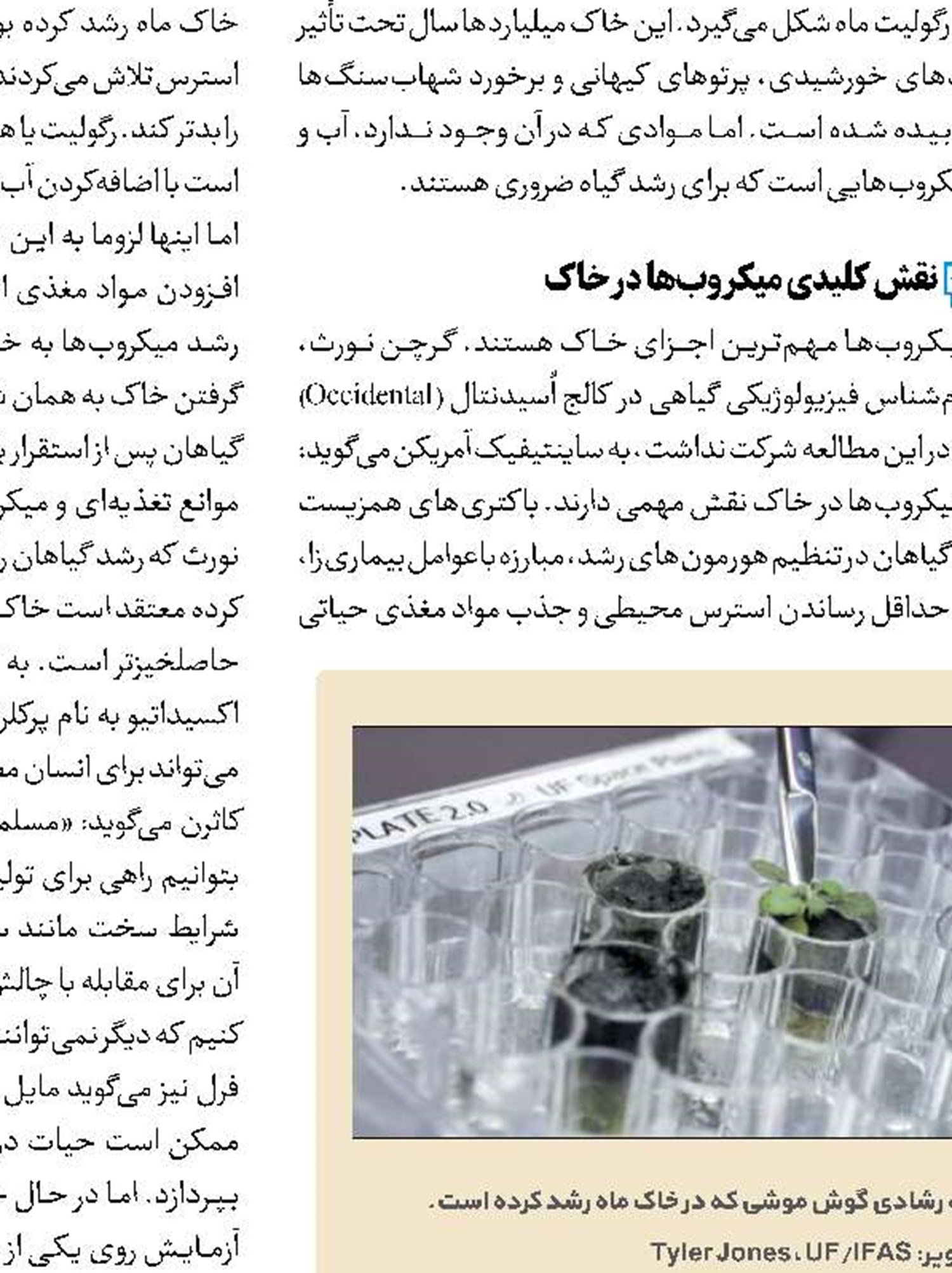 آخرین داده‌ها از وضع ذخایر نفتی جهان