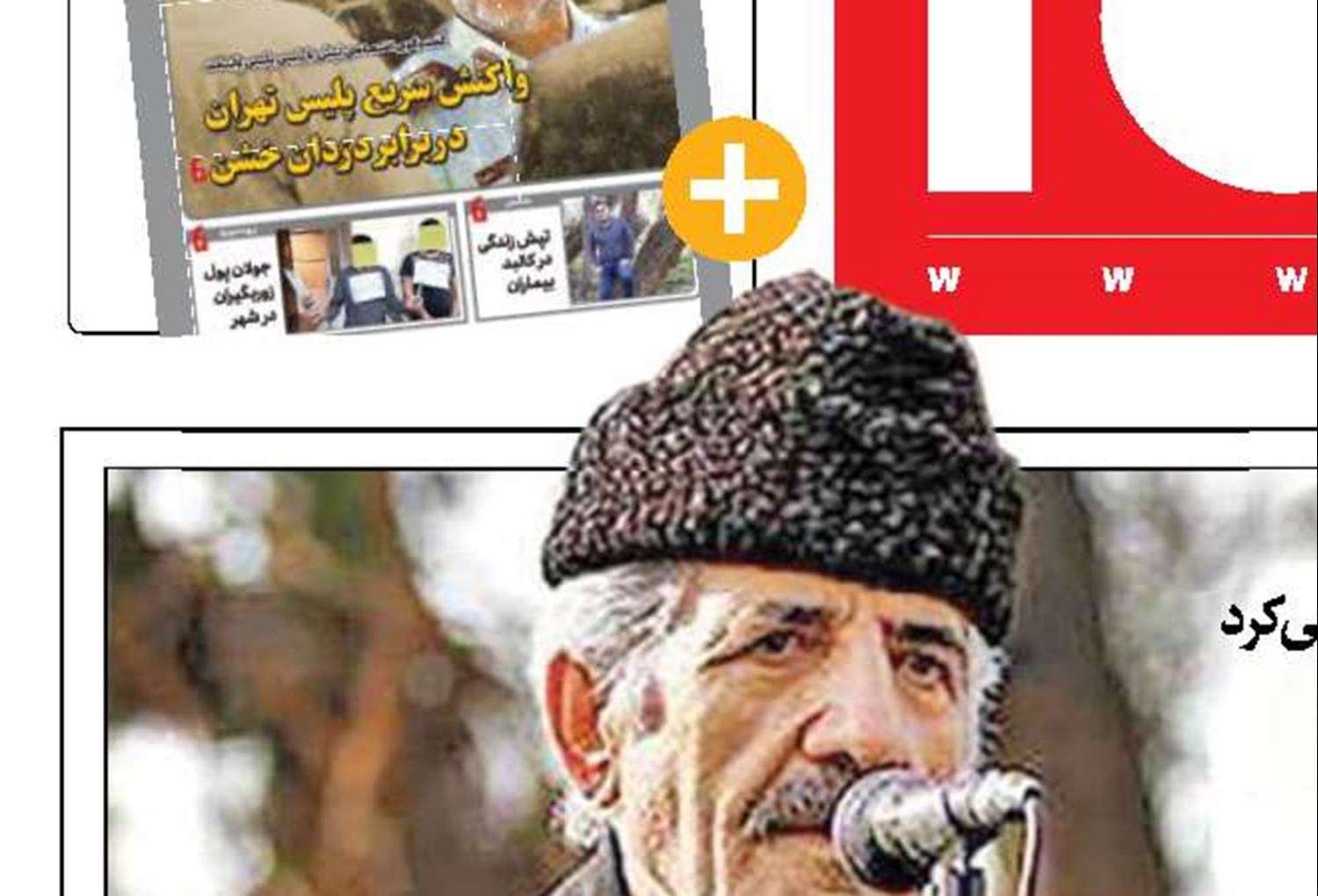 ای شاه! پناهش بده