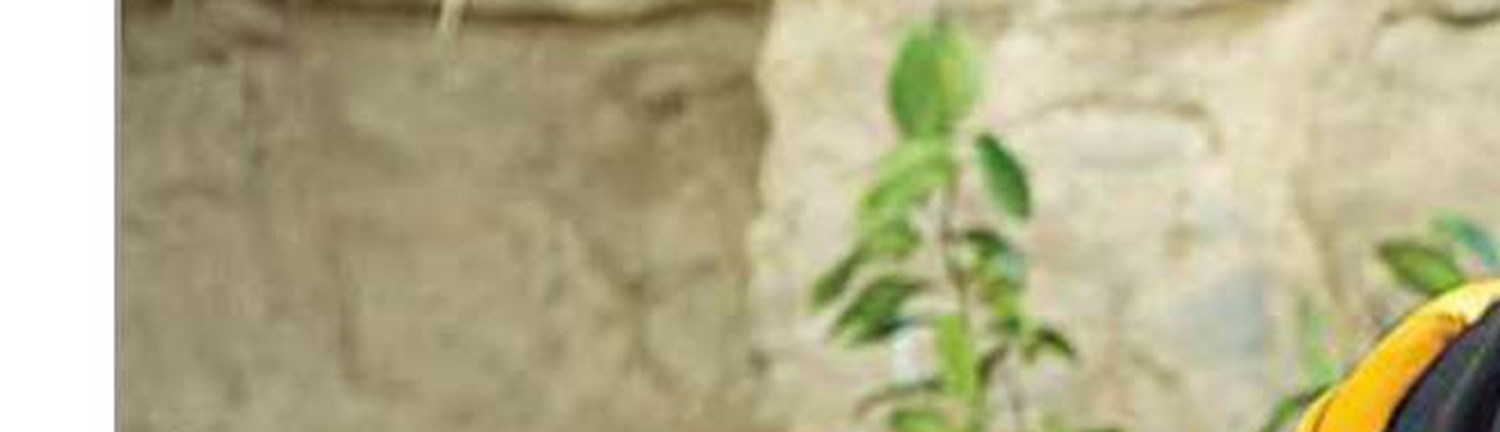 تلخ و شیرین روزهای آقای دولنگ