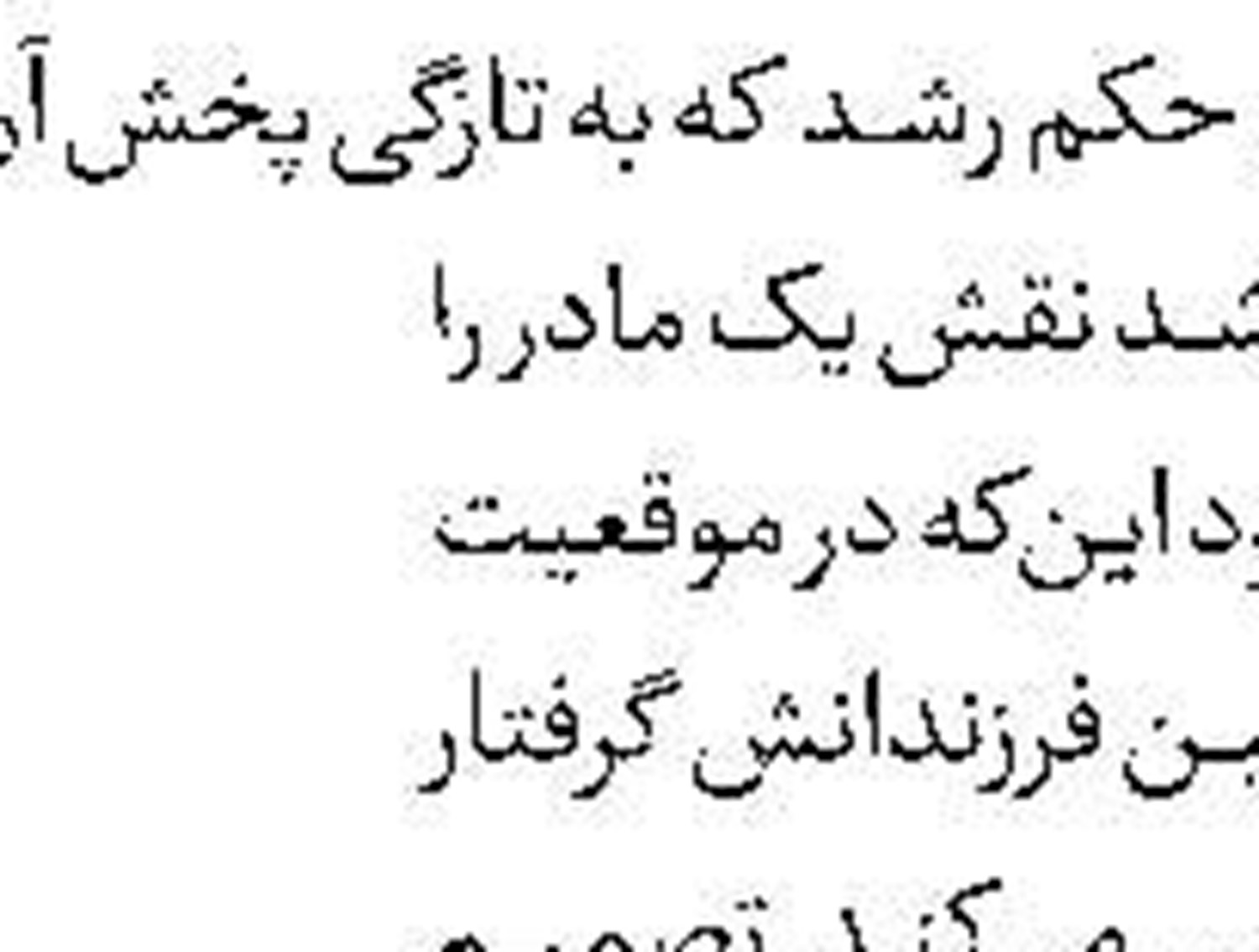 اسکیپی؛ کانگوروی دوست‌داشتنی 