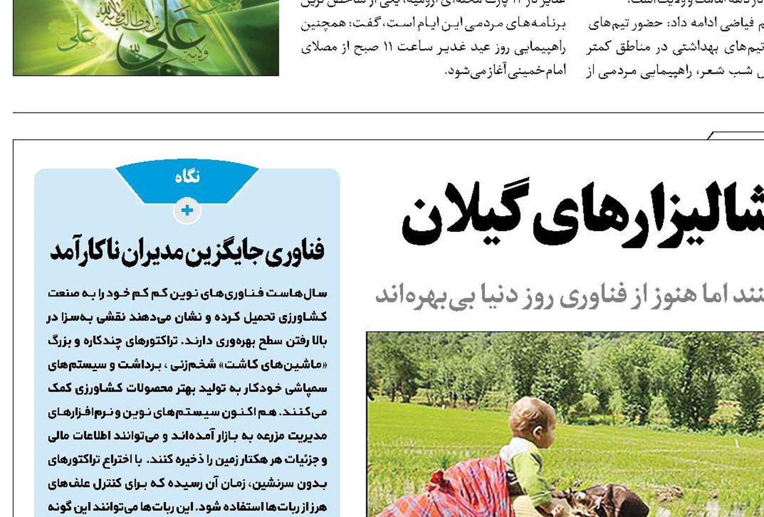 شعله سوءمدیریت بر جان شالیزارهای گیلان