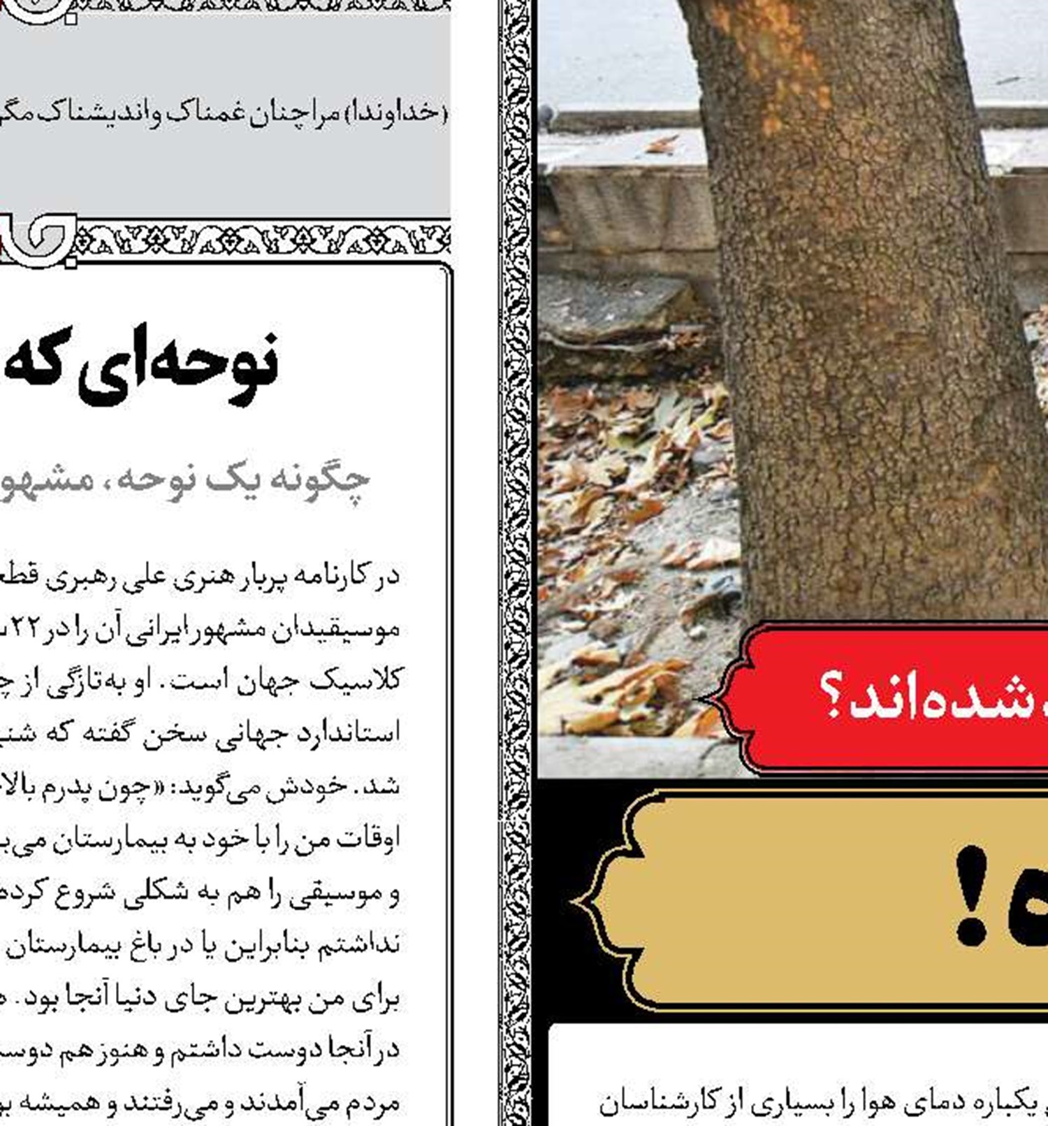 تابستان خزان‌زده!