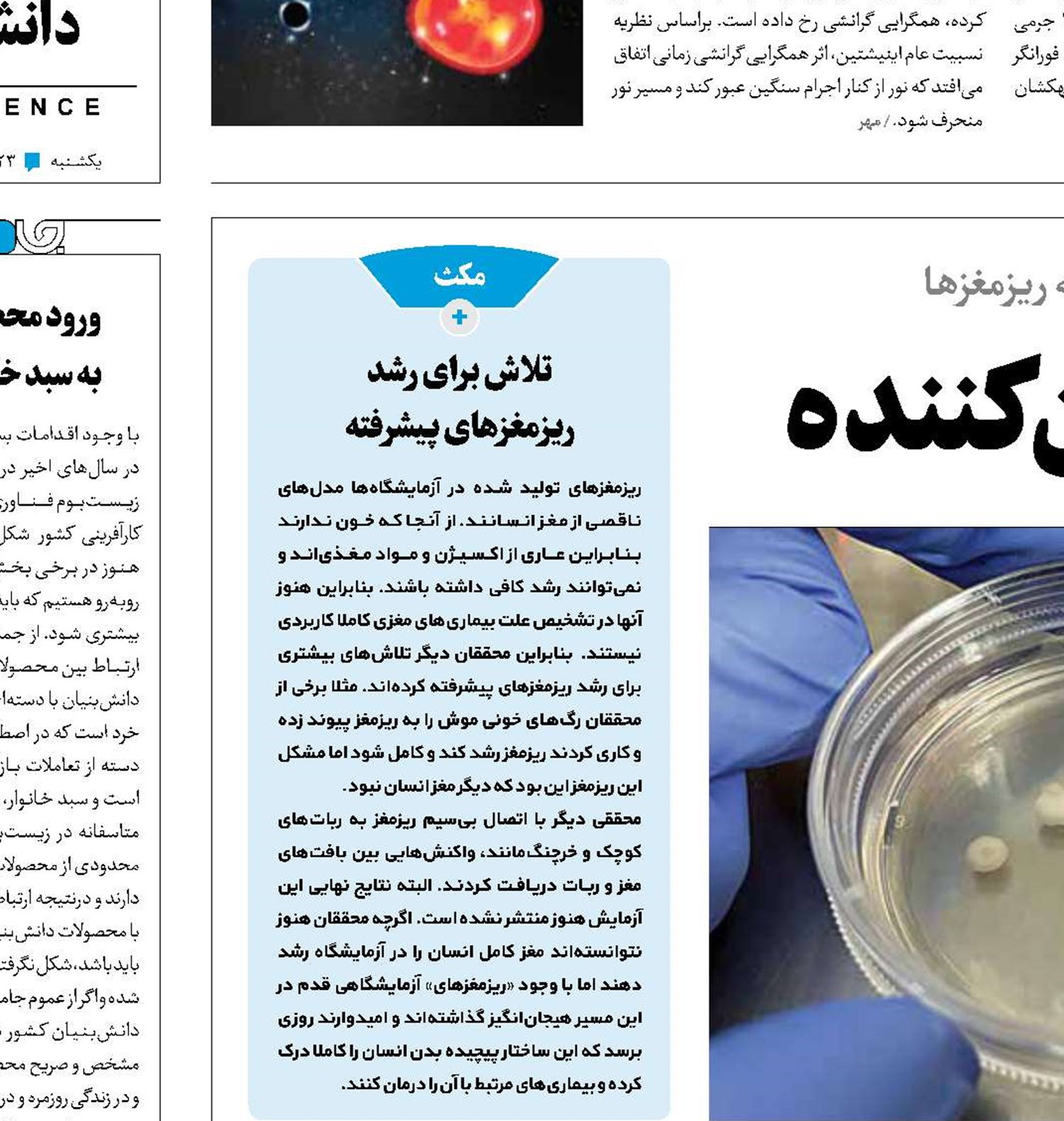 مغزهای کوچک درمان‌کننده