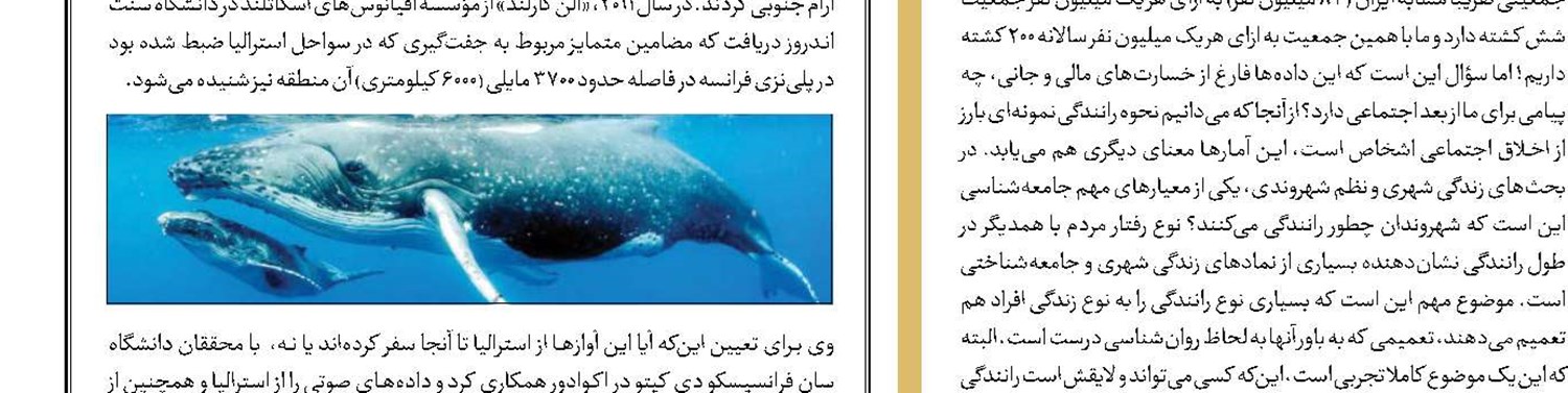 پرسه