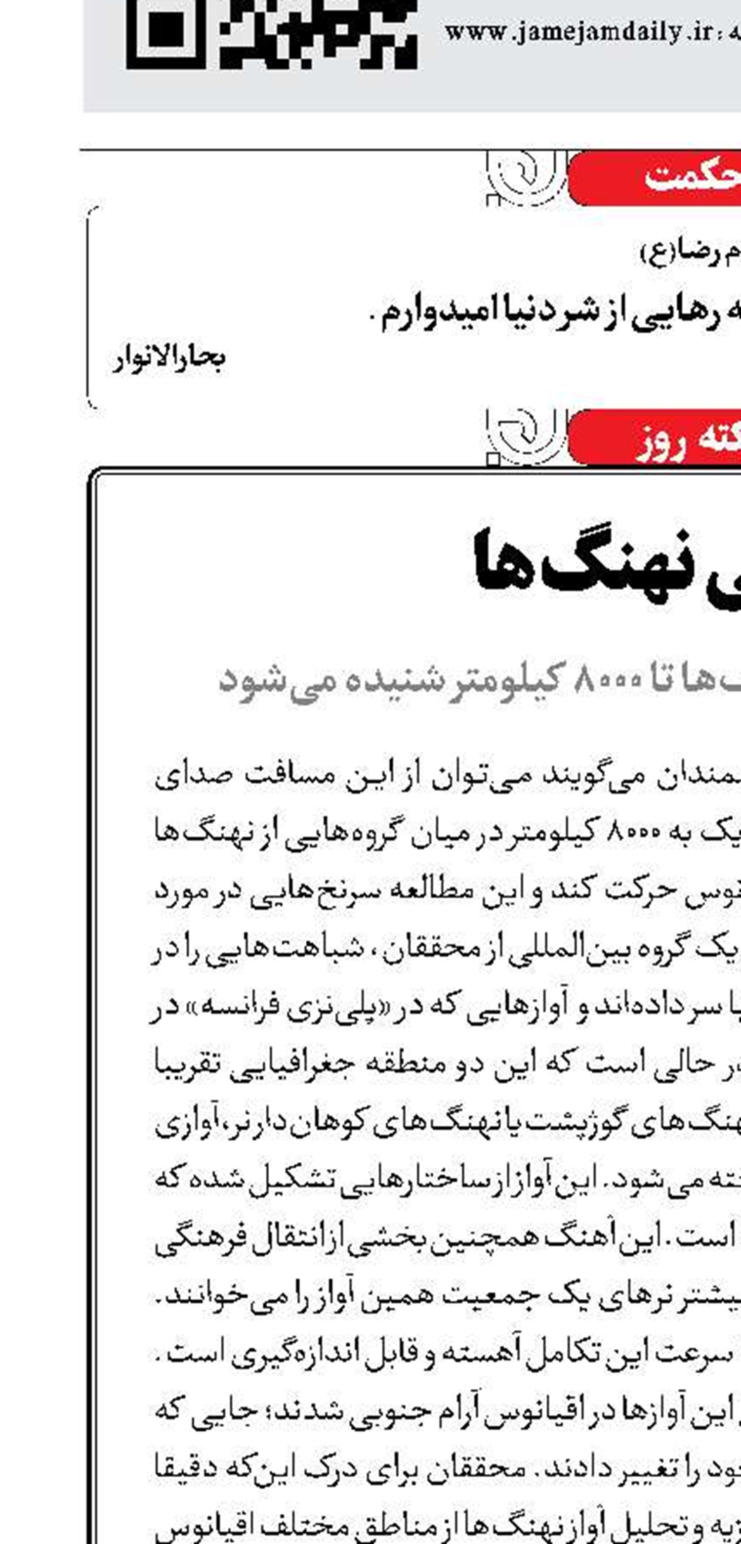 سمفونی نهنگ‌ها
