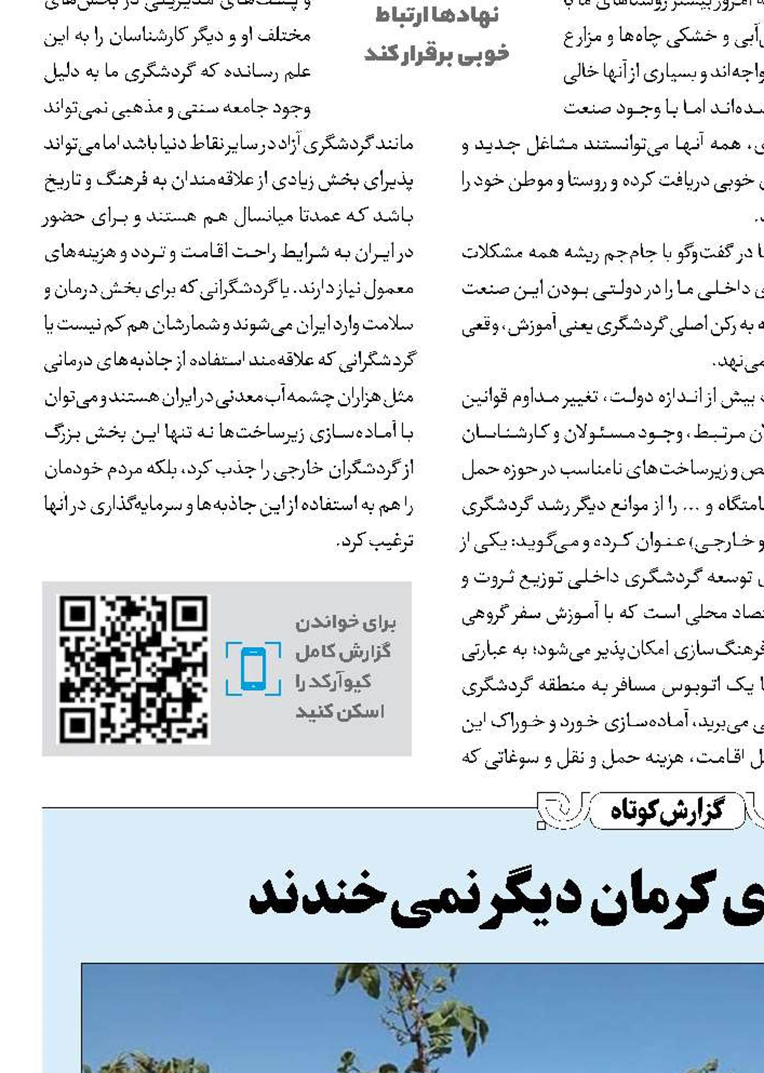 کشاورزان و پسته‌های کرمان دیگر نمی‌خندند