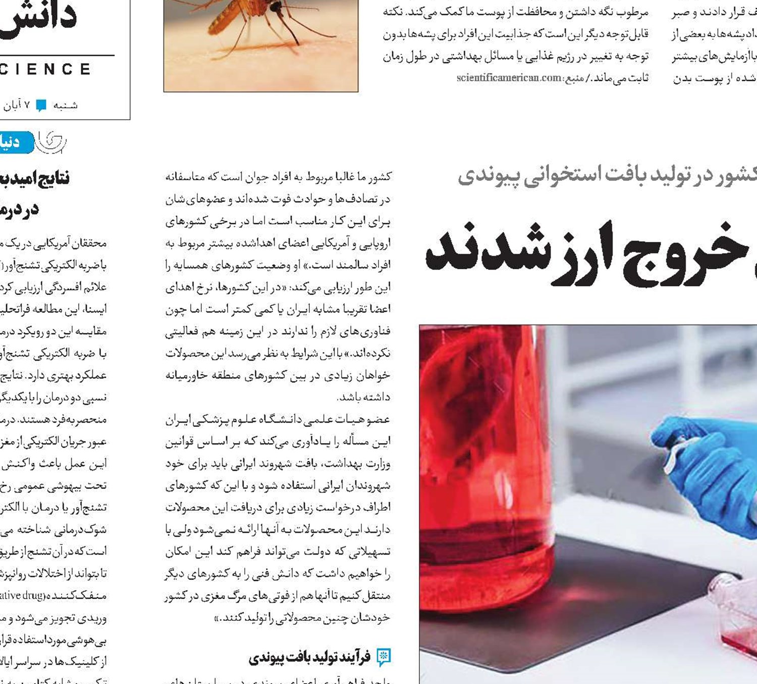 بافت‌هایی که مانع خروج  ارز شدند