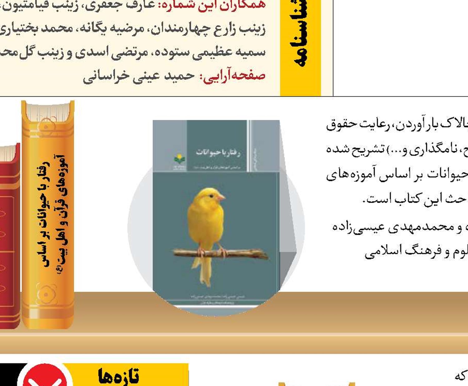 قفسه کتاب