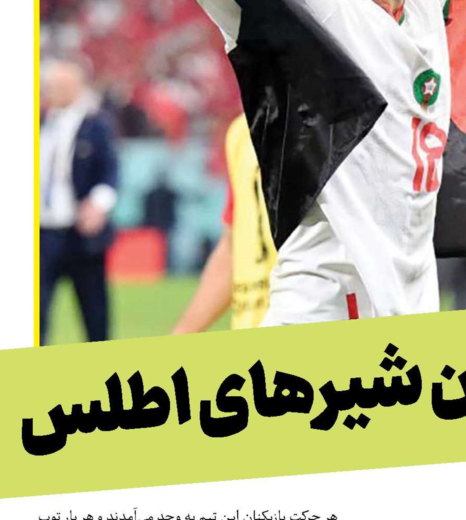 رویای شیرین شیرهای اطلس