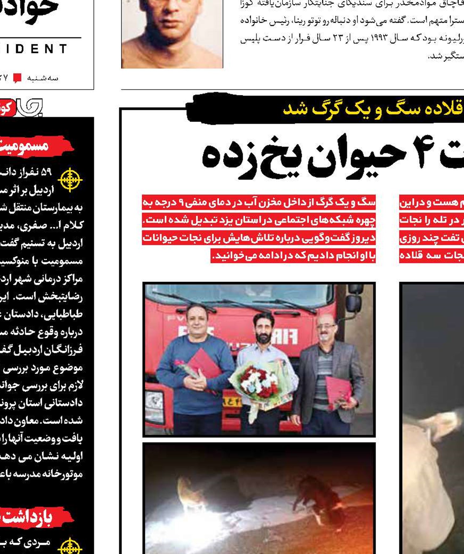ماموریت شبانه برای نجات 4حیوان یخ‌زده