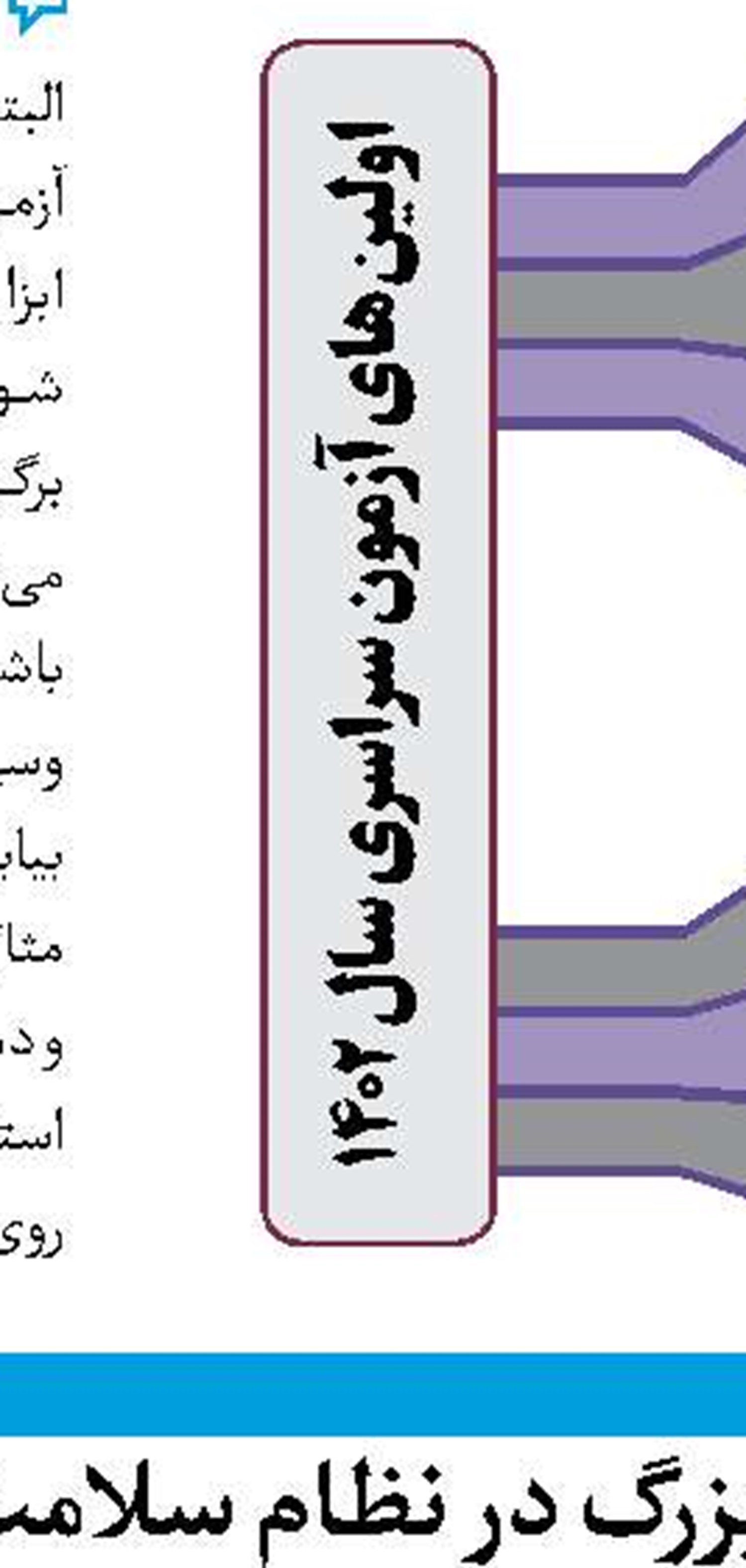 خزعلی: موظفیم چهره زن ایرانی را اصلاح کنیم