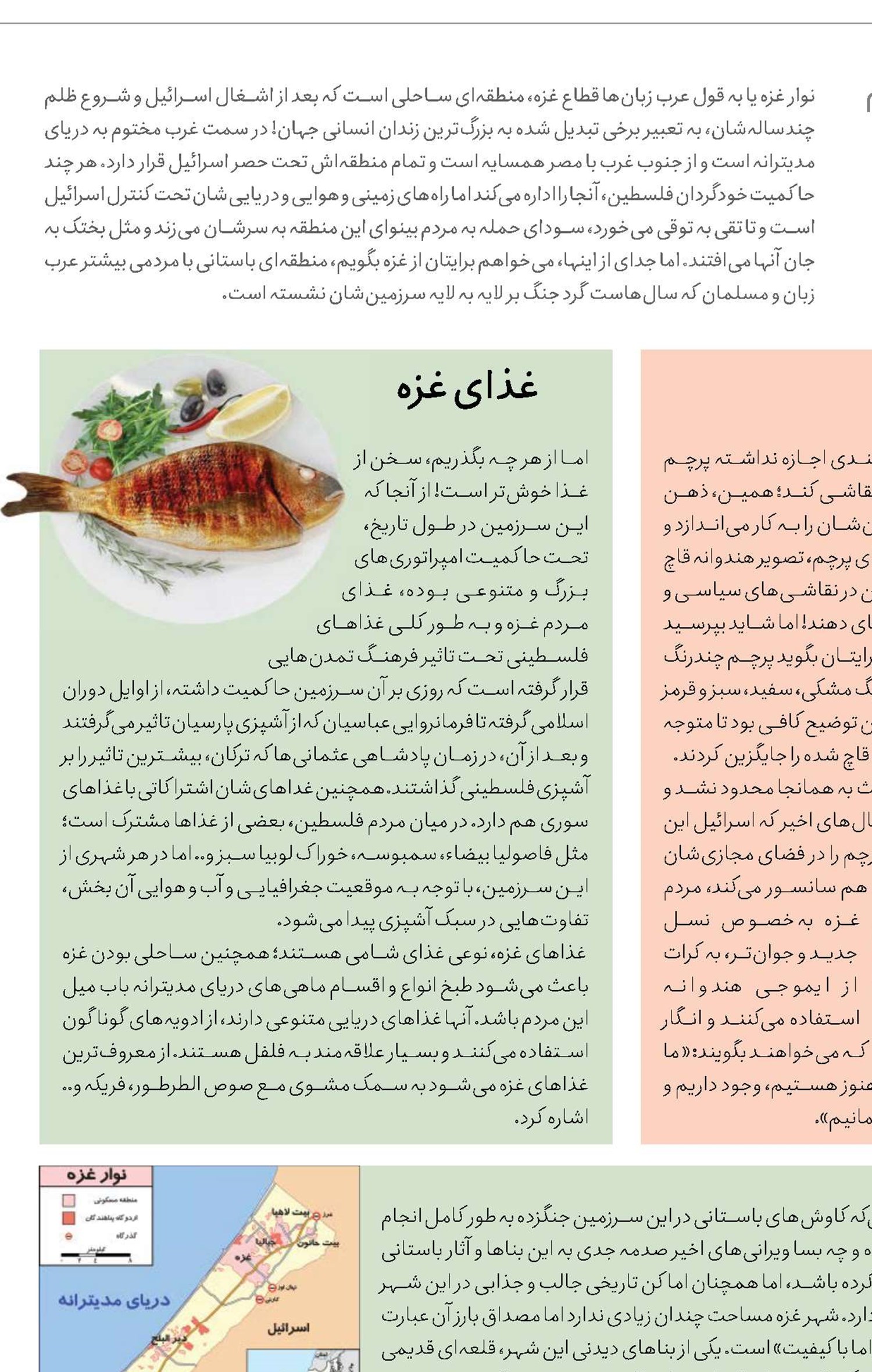 نوار باریک پرحاشیه