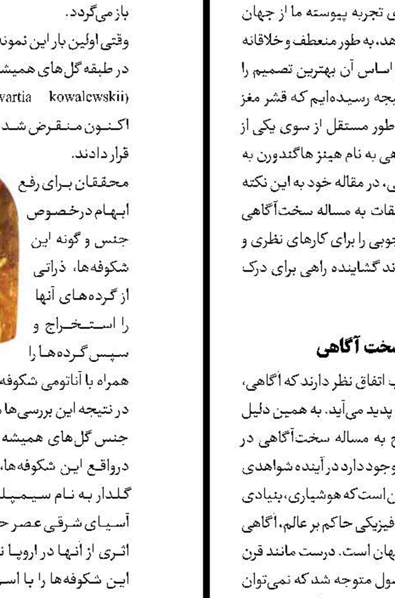 چنگال پر‎توان در کنار چنگال کم‌‎توان