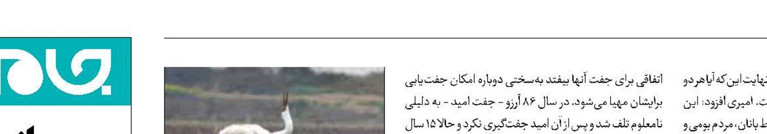 تازه‌ترین مستند فتح‌ا... امیری رونمایی می‌شود