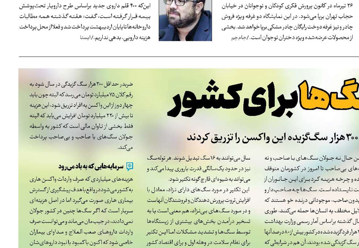 هزینه میلیاردی سگ‌ها برای کشور
