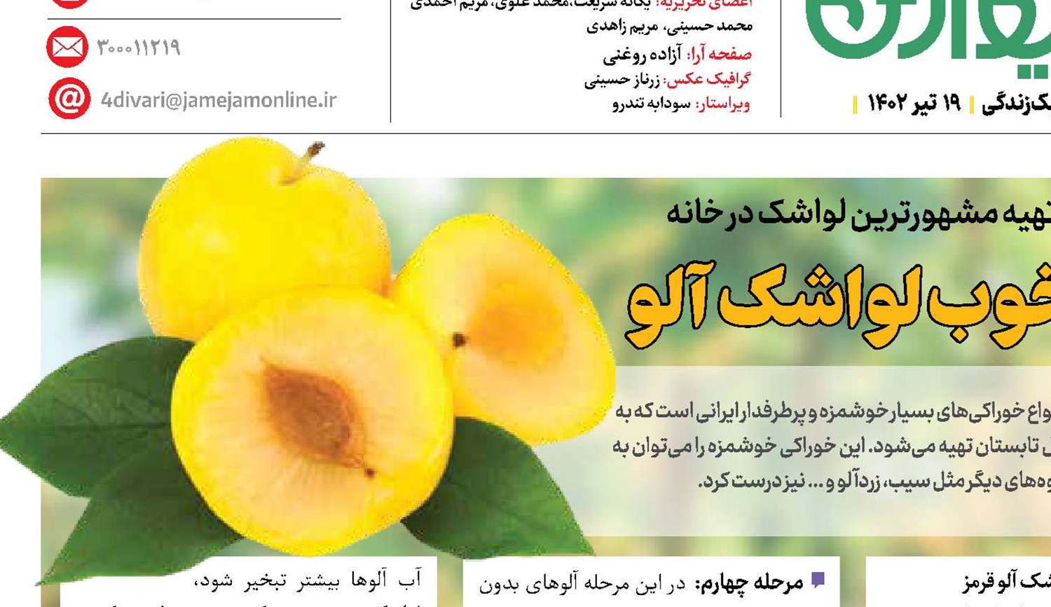 طعم خوب لواشک آلو 