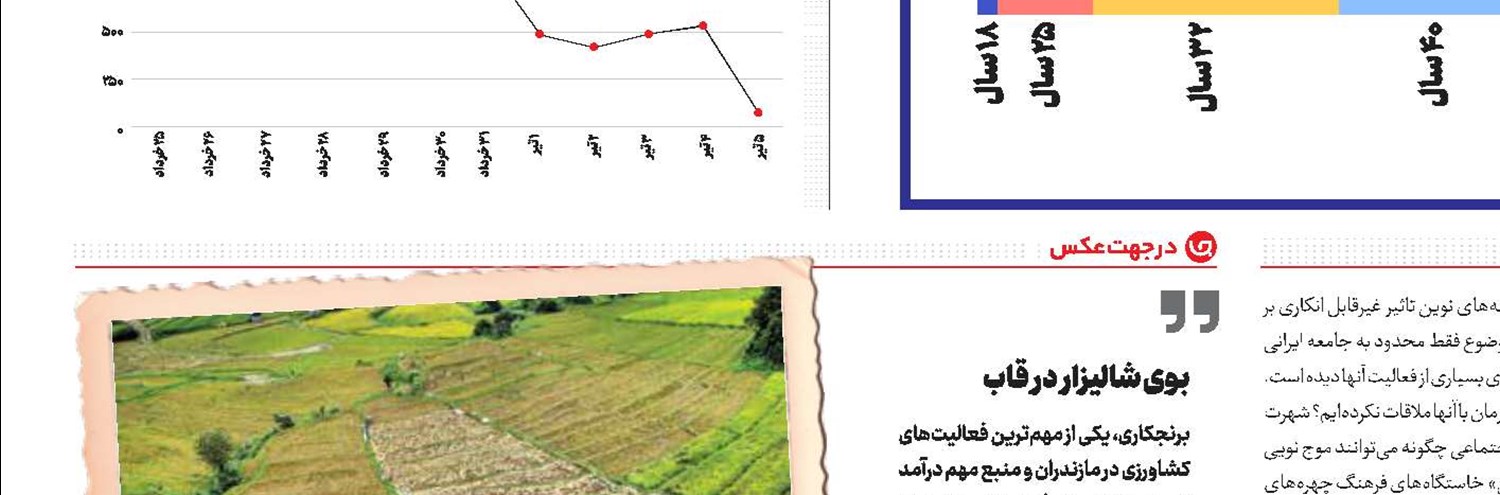 دلاور تنگستان