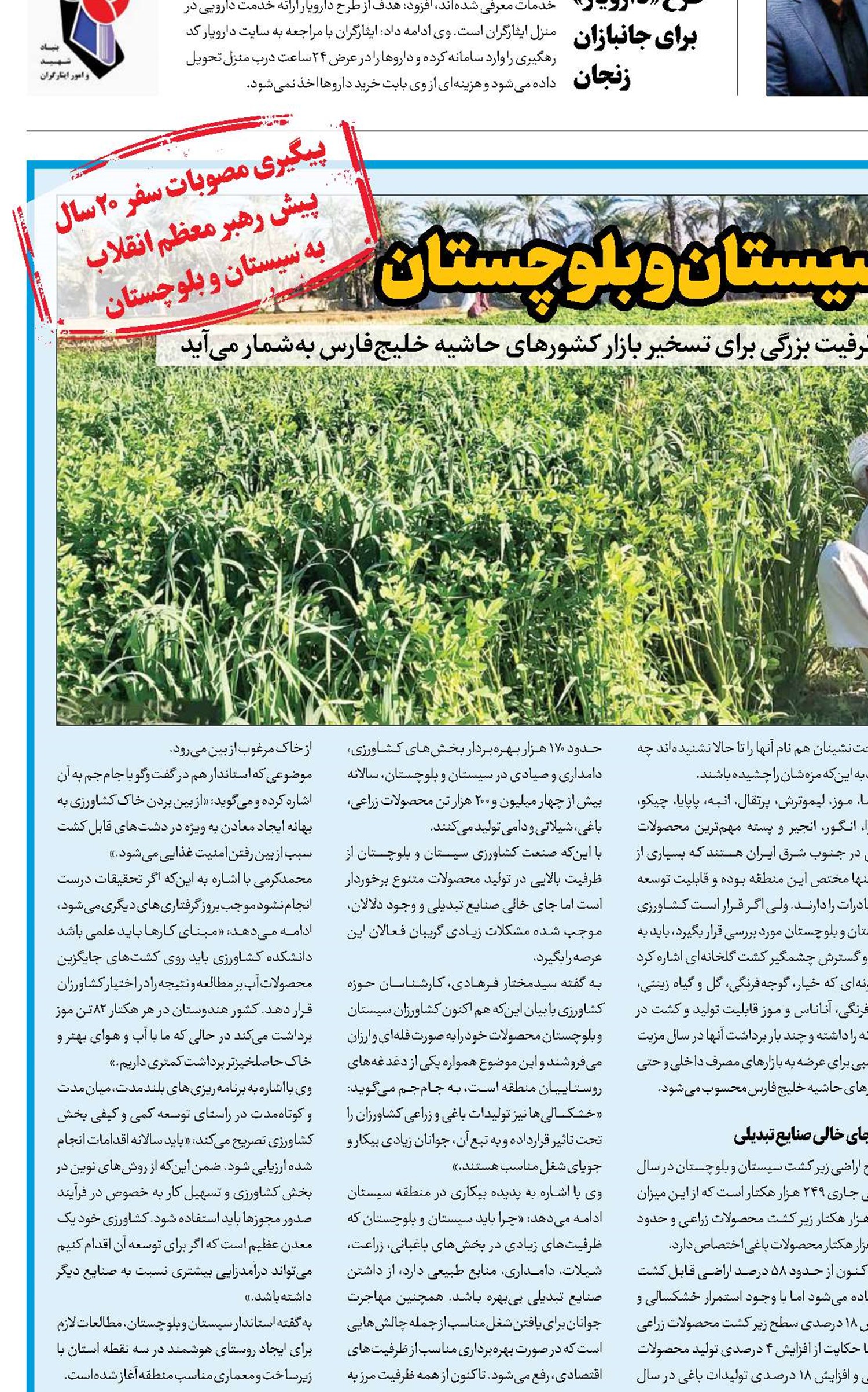 زراعت «امید» سیستان و بلوچستان