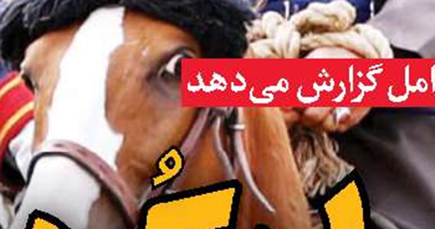 زن ایرانی؛ منشأ نسل تمدن‌ساز 