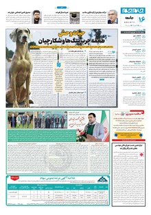 page