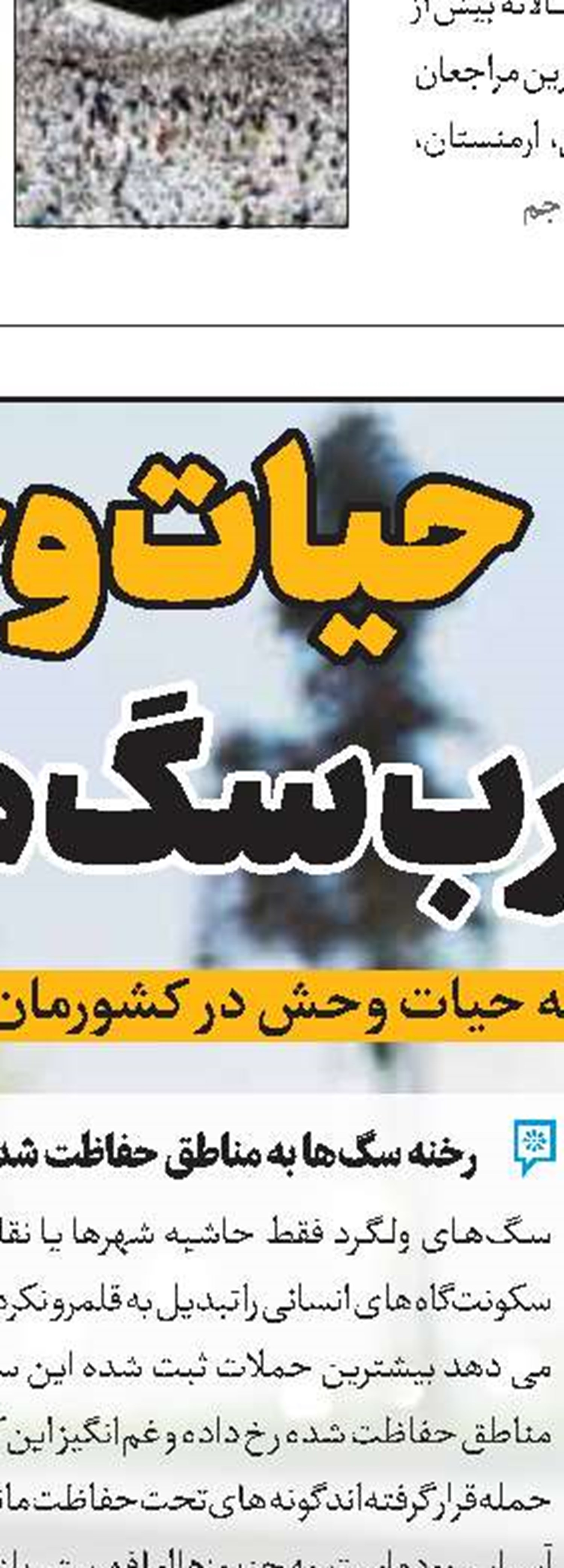 حق باشماست