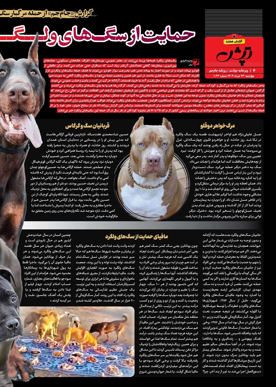 روزنامه تاریخ ۲۳ خرداد ۱۴۰۳