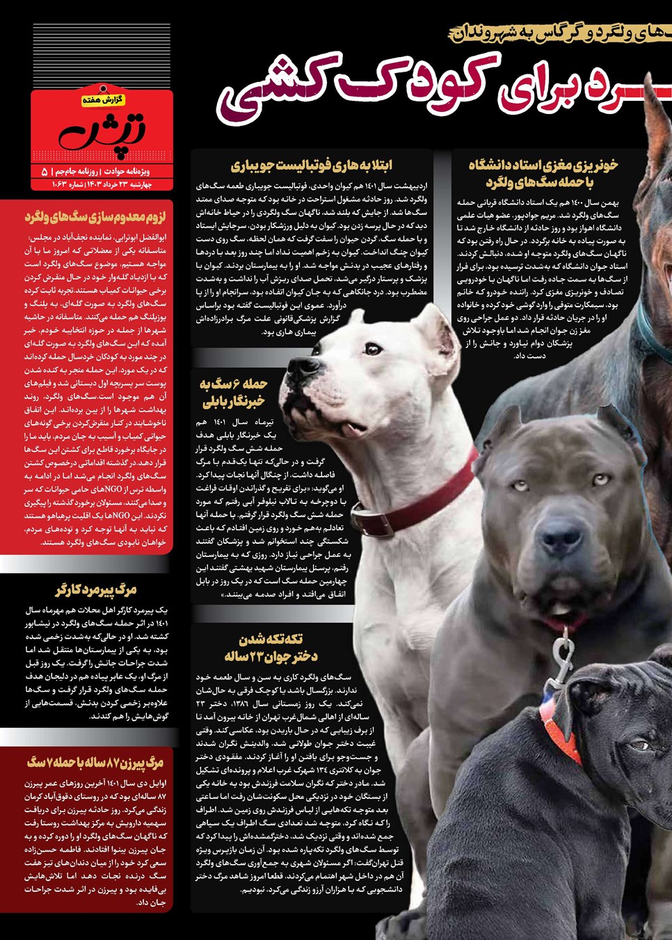 روزنامه تاریخ ۲۳ خرداد ۱۴۰۳