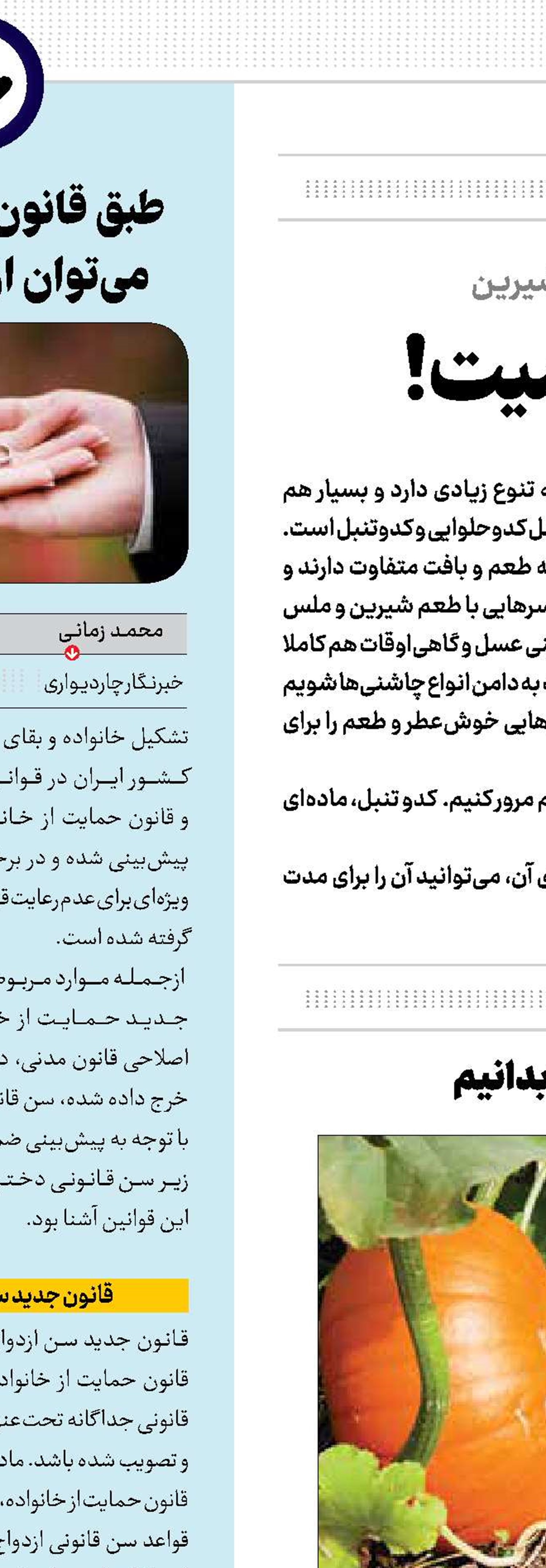 این تنبل پر‌خاصیت!