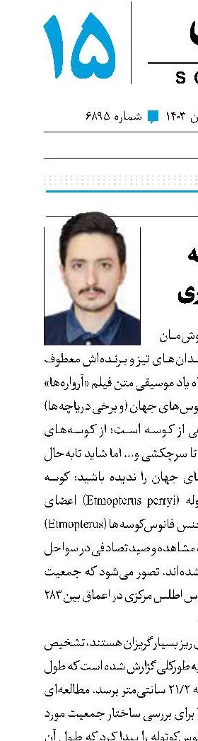 کوسه کوتوله20 سانتی‌متری 