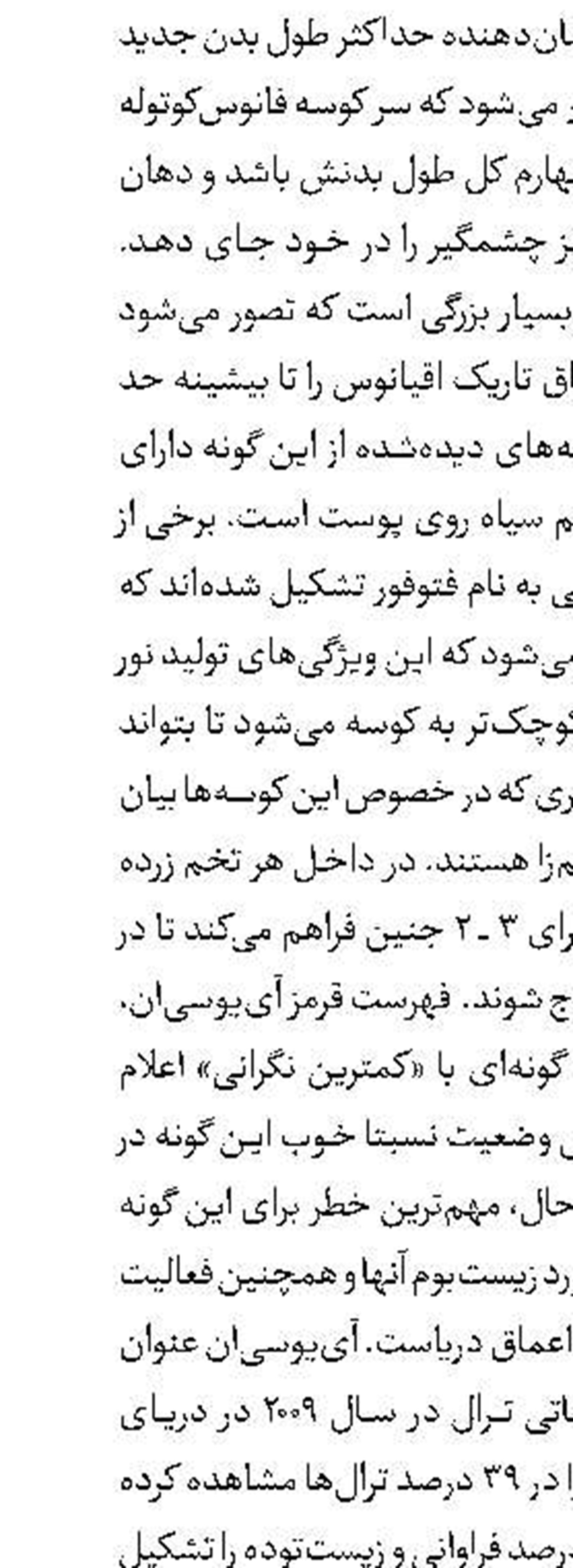درک عمیق در یک چشم‌بر‌هم‌زدن